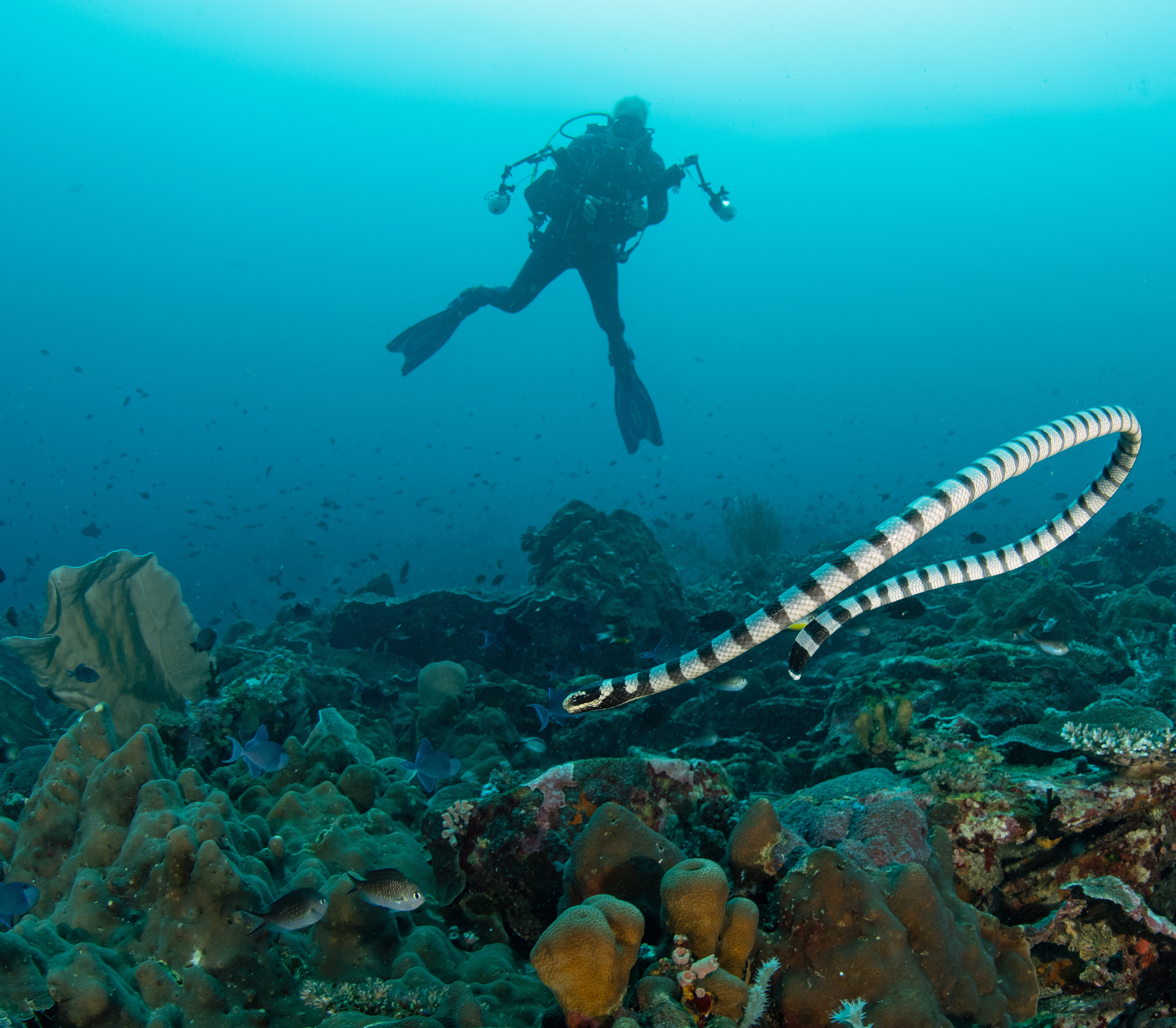 Deep Diver specialty at LLV Divers