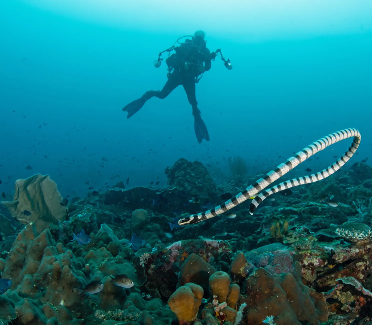 Deep Diver specialty at LLV Divers