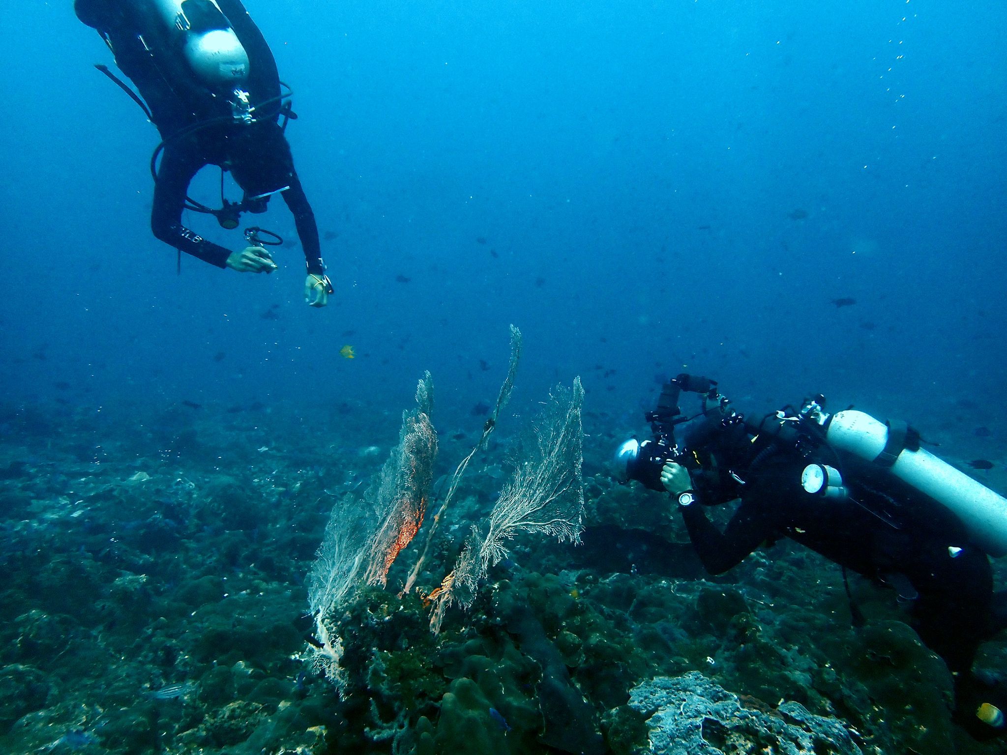 Digital Underwater Photographer course at LLV Divers