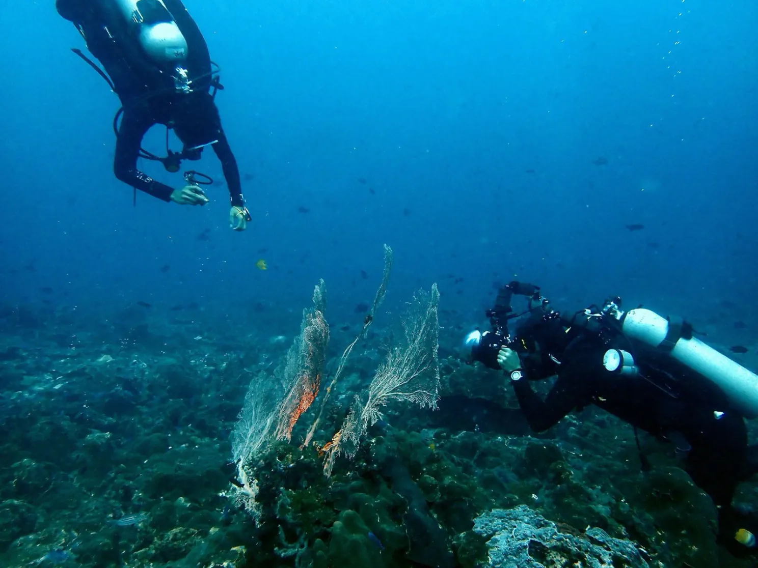 Digital Underwater Photographer course at LLV Divers