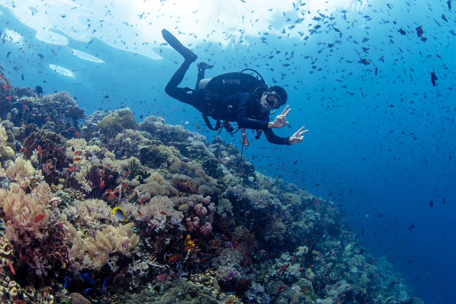 LLV Divers underwater scene
