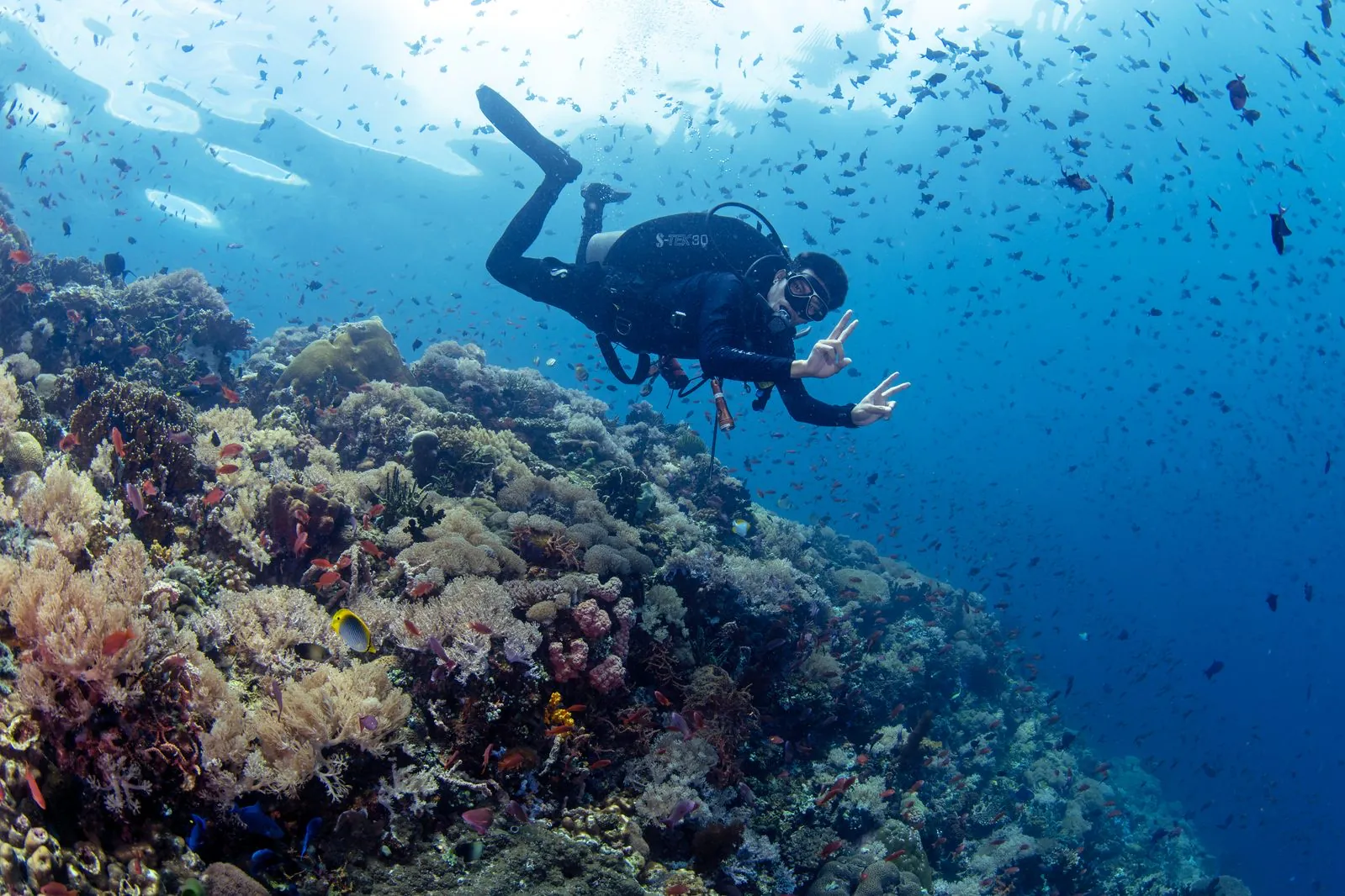 LLV Divers underwater scene