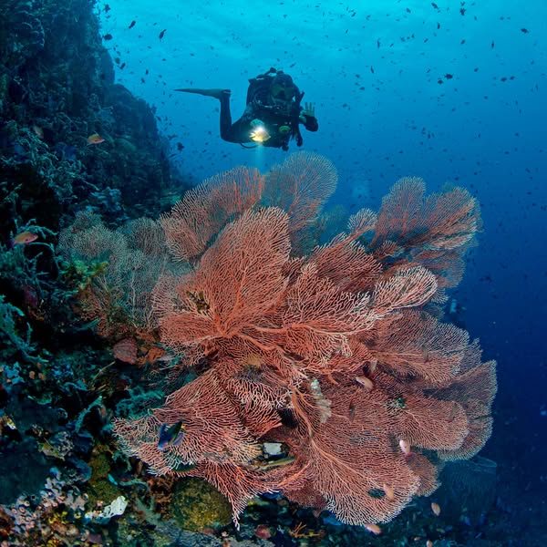 Ready to dive with LLV Divers in Puerto Galera