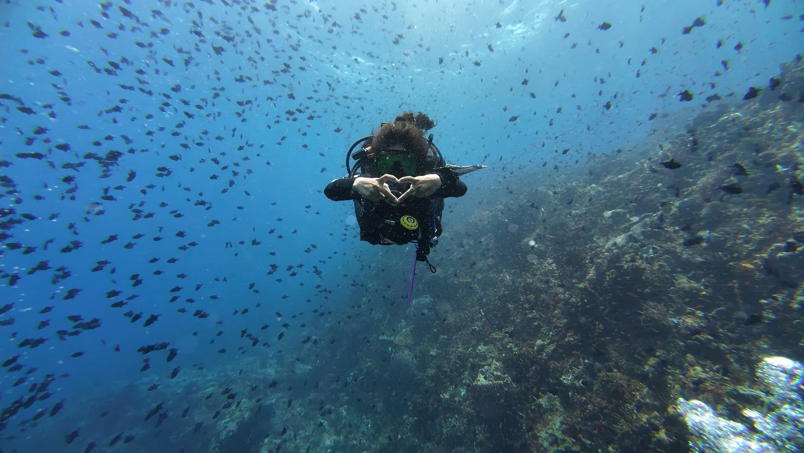 Dive sites in Puerto Galera