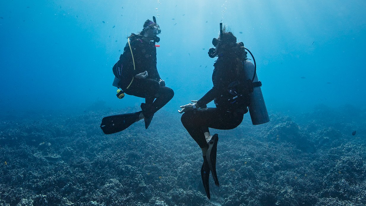 Peak Performance Buoyancy specialty at LLV Divers