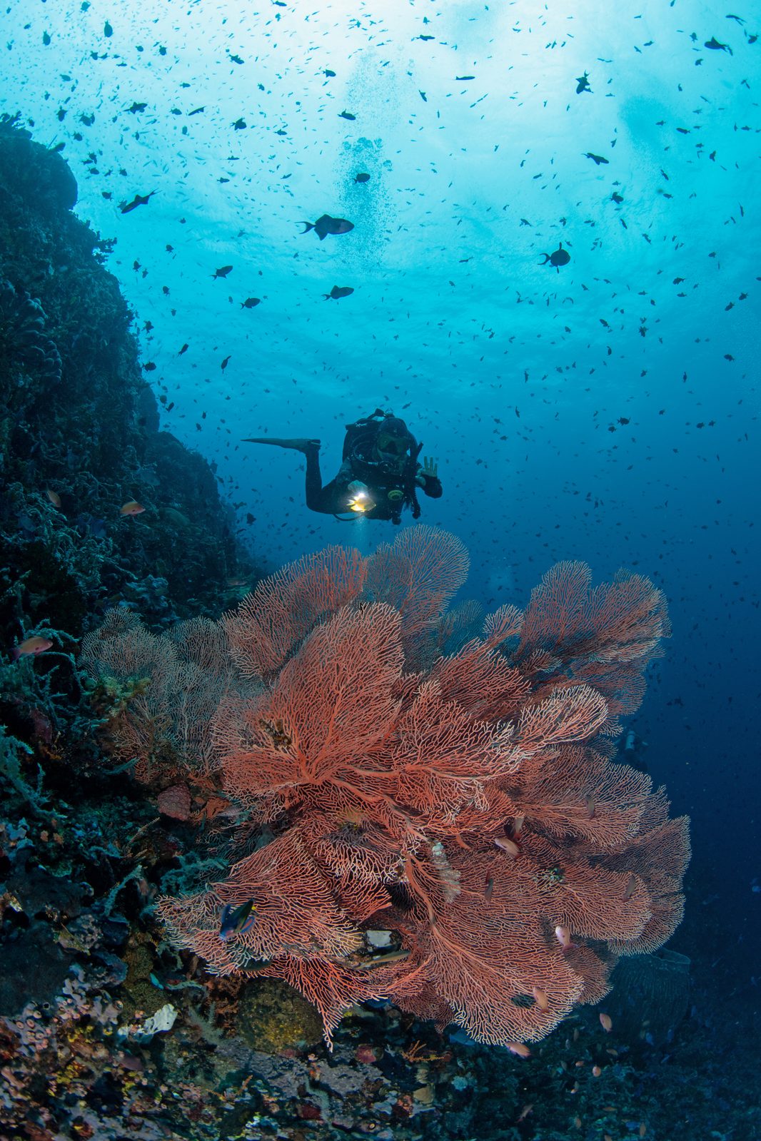 Drift Diver specialty course at LLV Divers