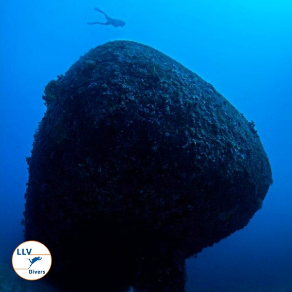 Wreck Diver specialty at LLV Divers