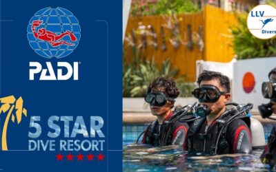 PADI 5 Star Dive Resort – LLV Divers