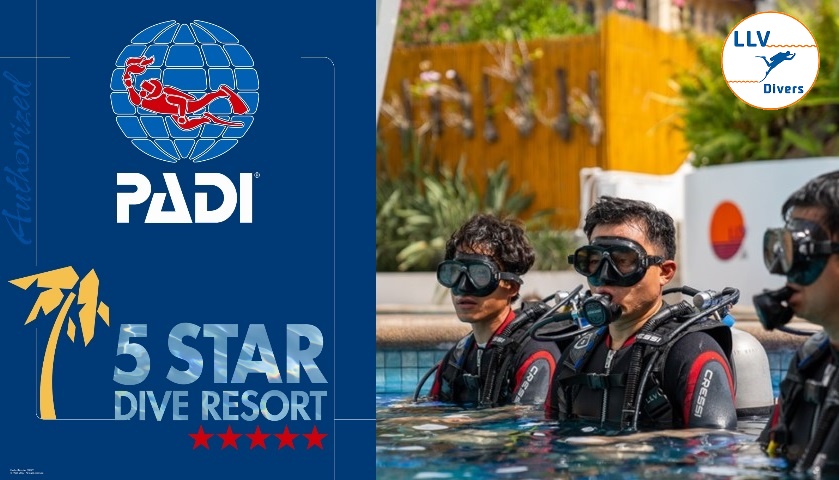 PADI 5 Star Dive Resort – LLV Divers