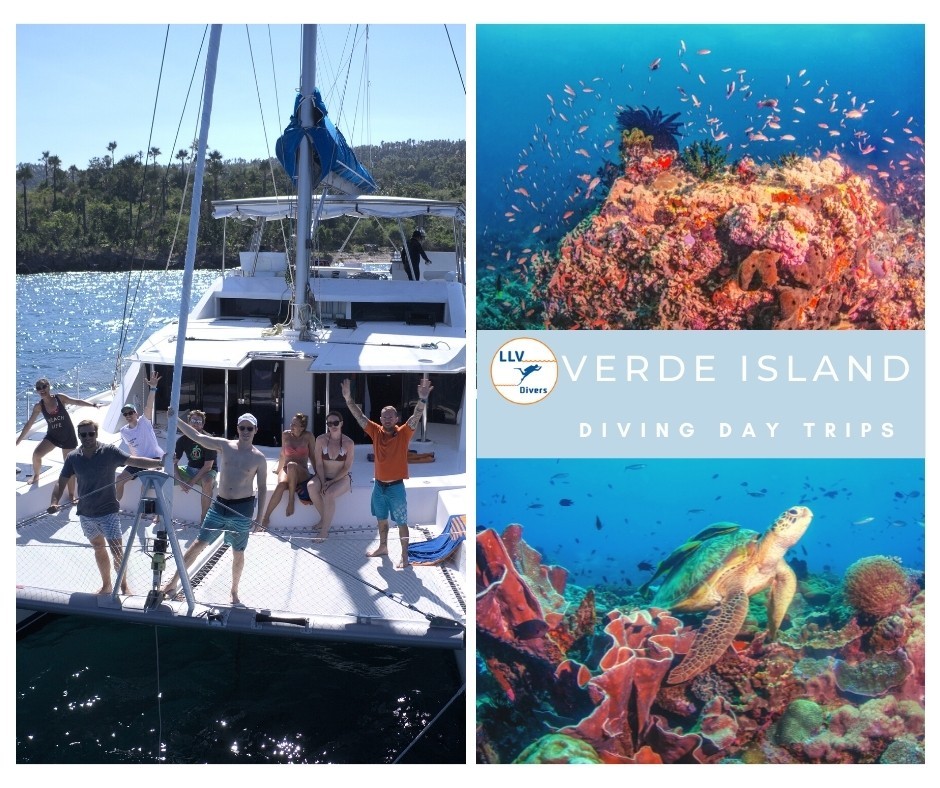 LLV CHARTERS Verde Island