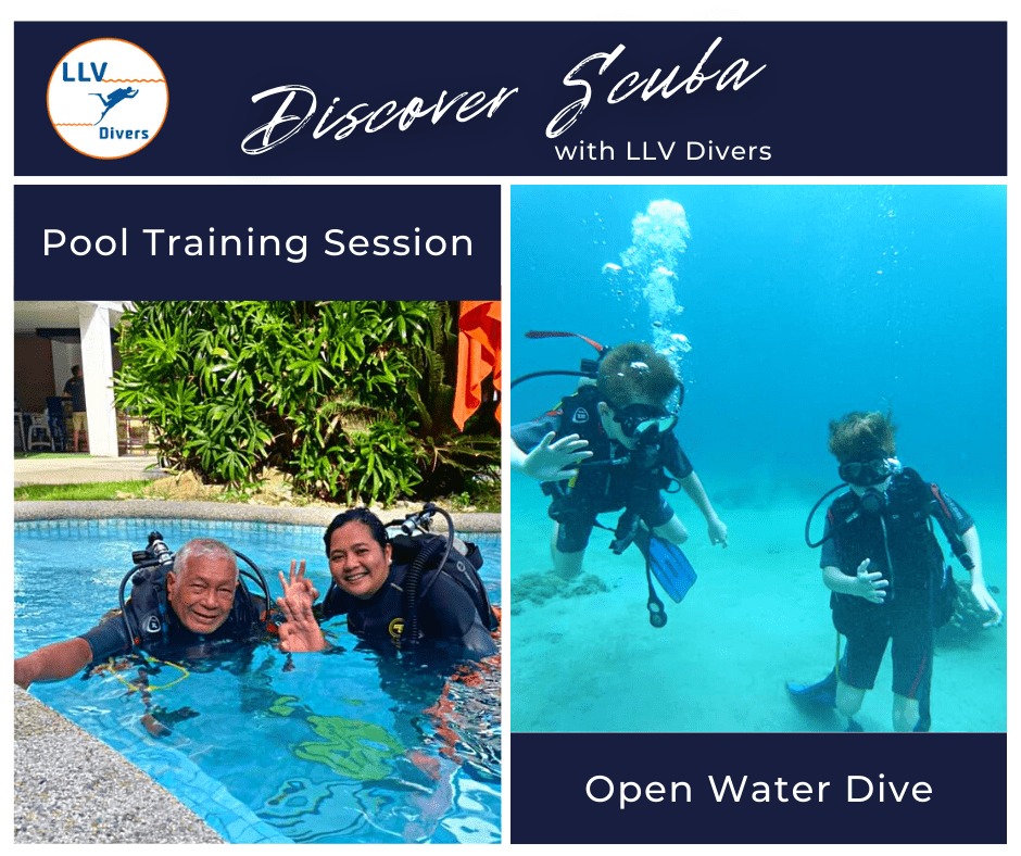 Learn to Dive - LLV Divers 