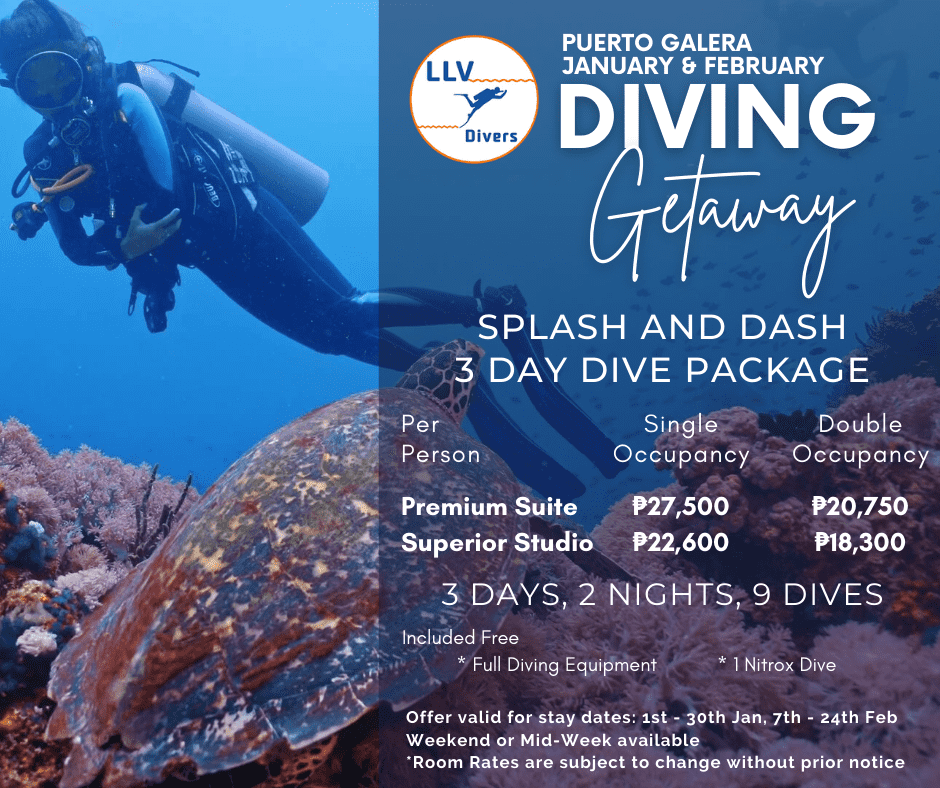 Enjoy a great 3 days of diving during January & February, at Puerto Galera’s premier luxury dive resort Lalaguna Villas – only 3 hours from Manila.