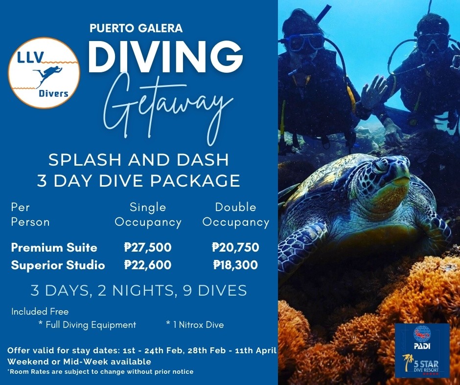 Enjoy a great 3 days of diving during January & February, at Puerto Galera’s premier luxury dive resort Lalaguna Villas – only 3 hours from Manila.