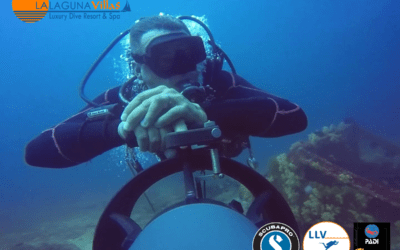 What does it mean and what is involved in becoming a PADI Divemaster?