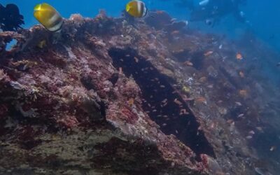 Down to the dive site: Sabang Wrecks