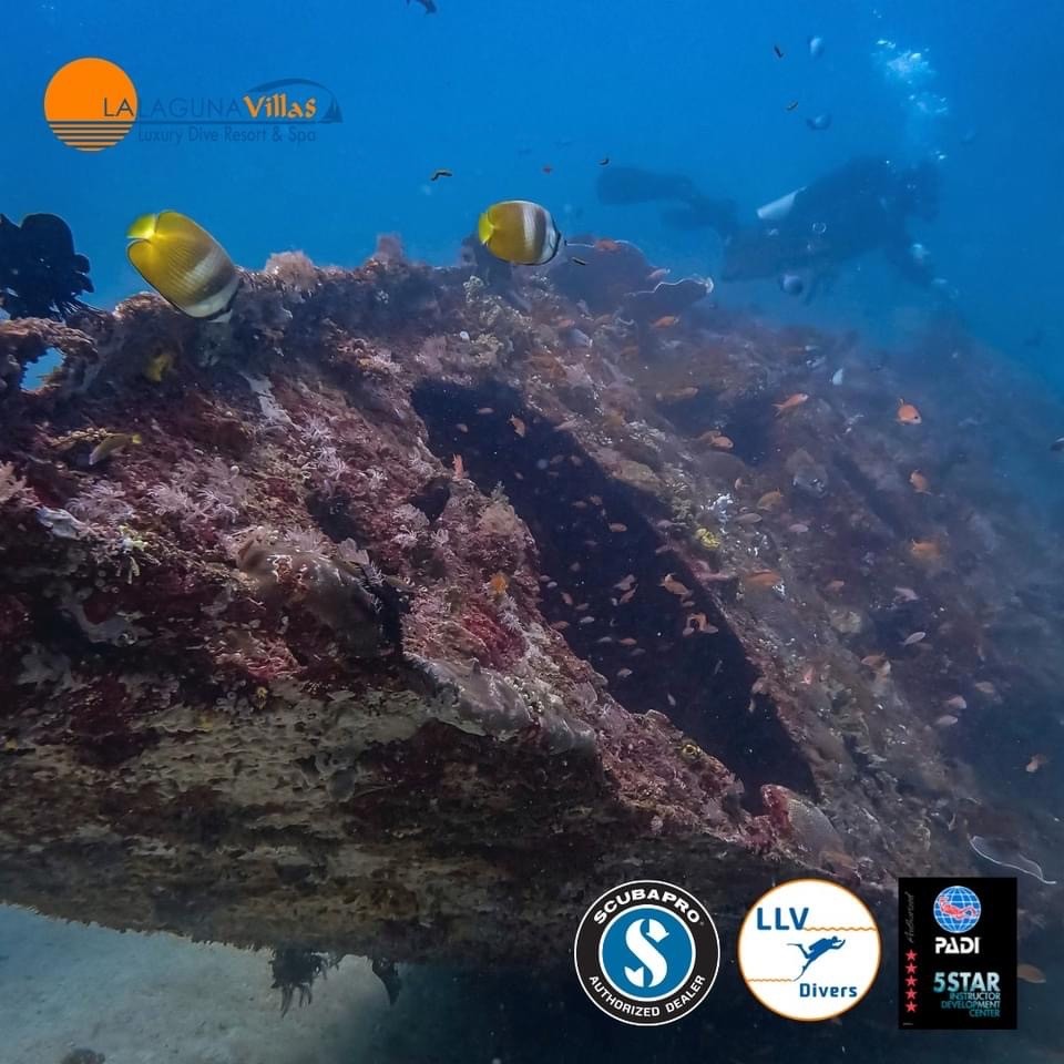 One of the sunken vessels at the Sabang Wrecks dive site in Puerto Galera