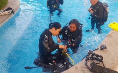 What is involved in a PADI Open Water course?