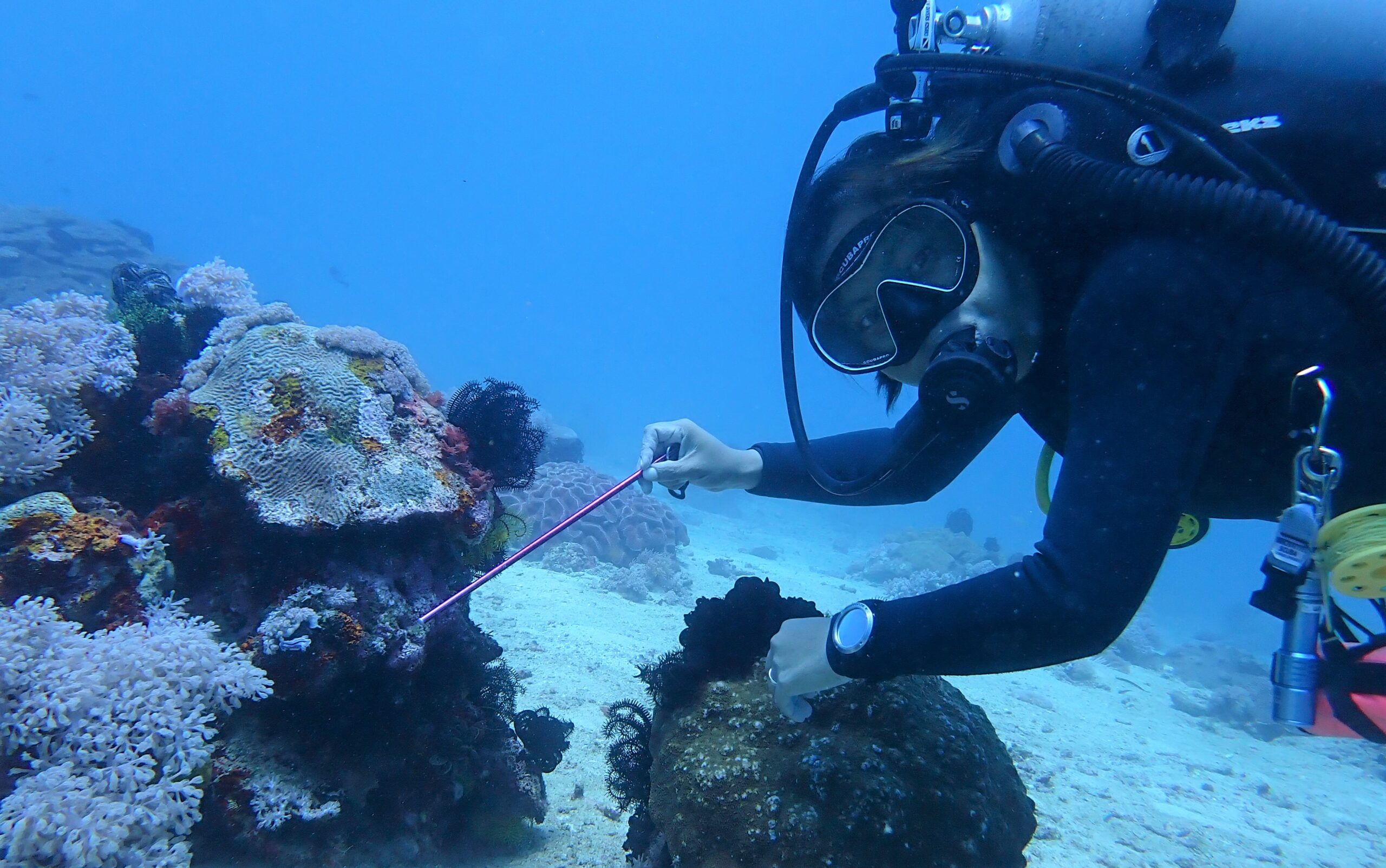 PADI staff instructor Ja Atienza helping a diver spot a tiny nudibranch on a recent dive