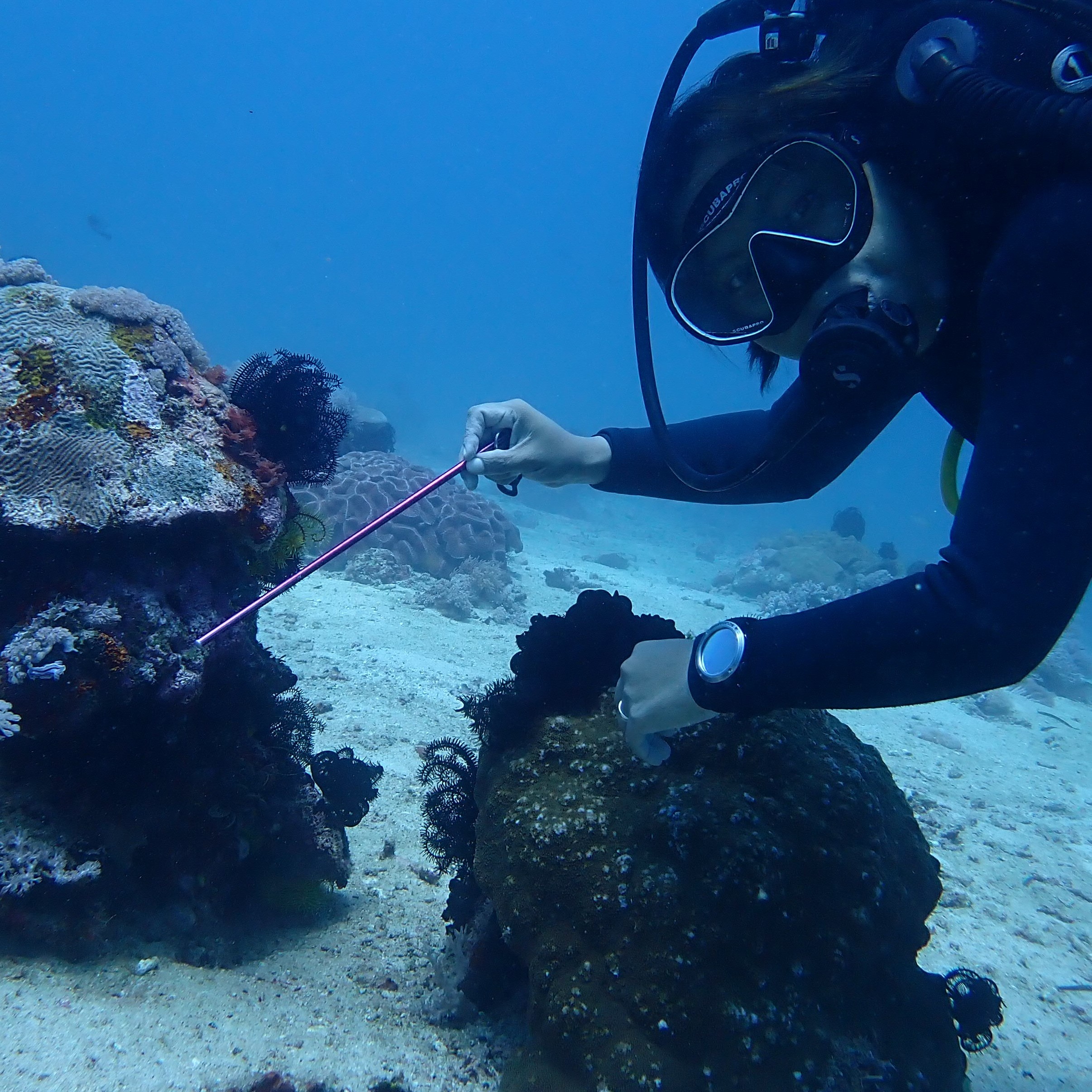 PADI staff instructor Ja Atienza pointing out a tiny nudibranch to a guest on a recent dive