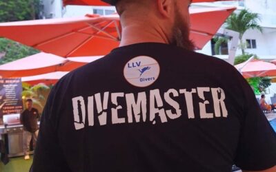 What is the difference between a Divemaster and an Instructor?