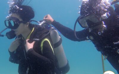 What is involved in a PADI Discover Scuba Diver course?