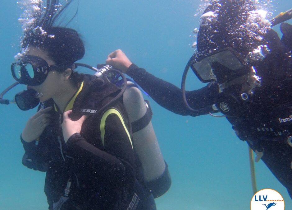 What is involved in a PADI Discover Scuba Diver course?