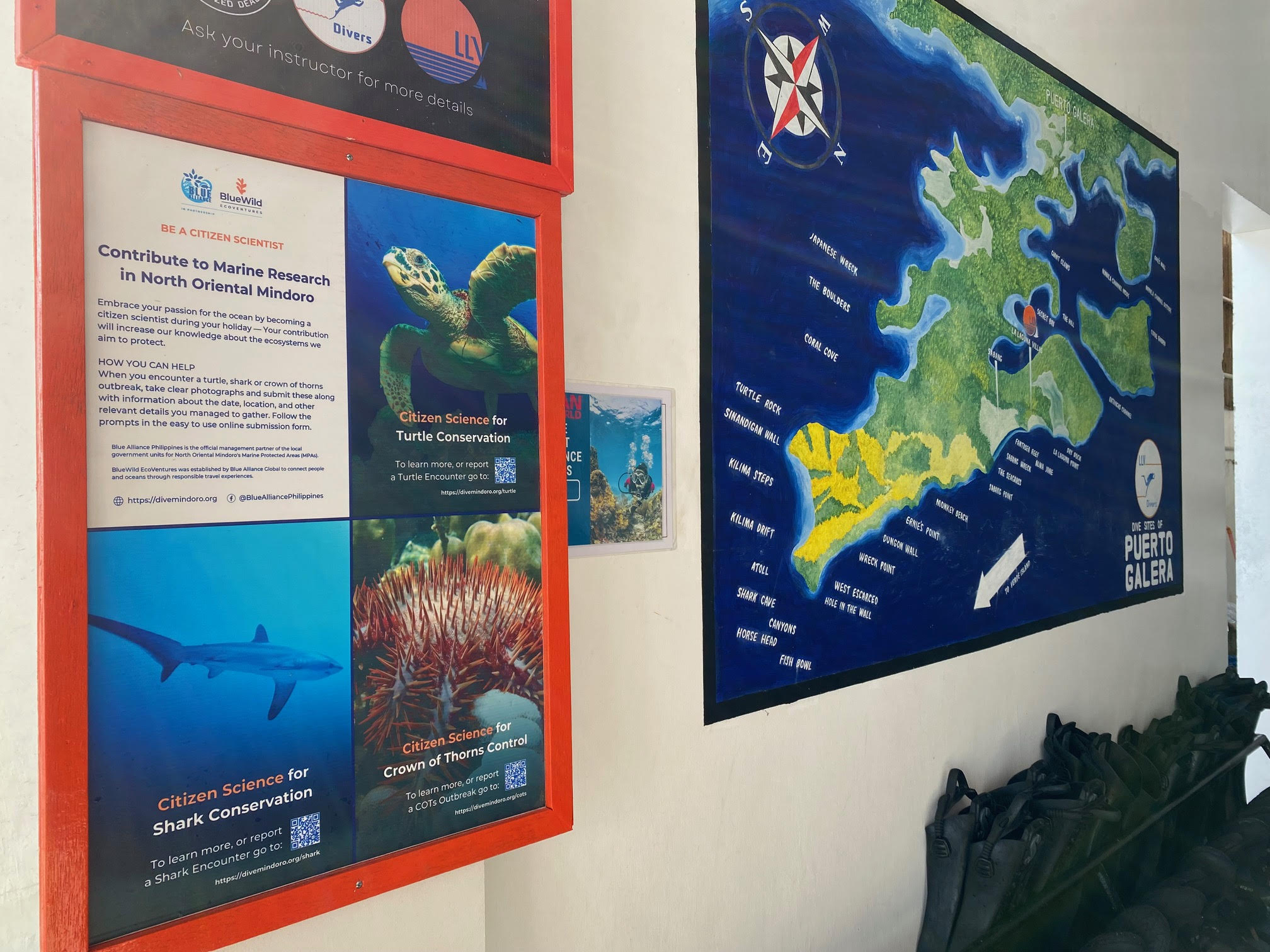 The Dive Mindoro poster in our diveshop where we encourage people to sign up