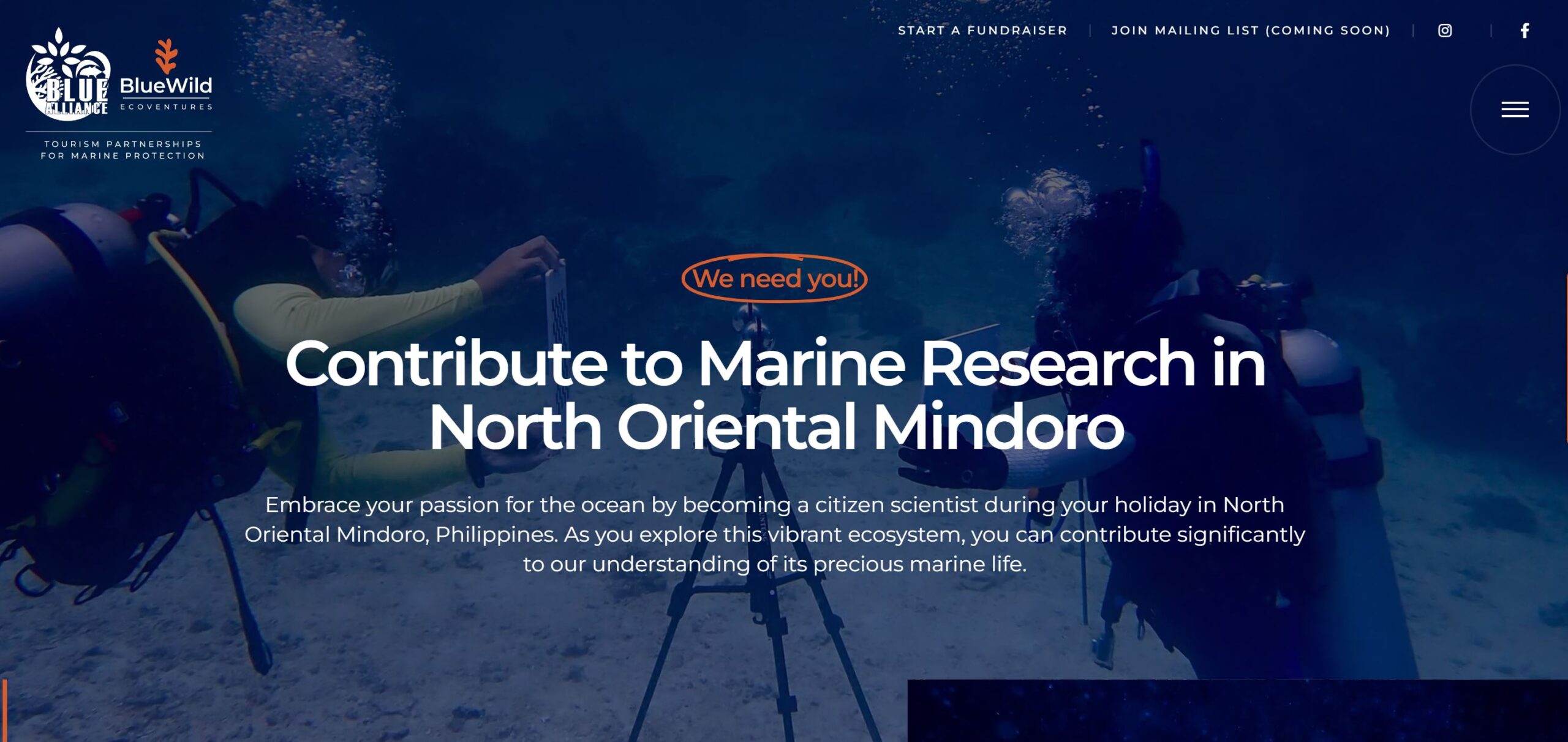 The Dive Mindoro website is looking to recruit YOU!