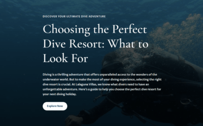 Choosing the Perfect Dive Resort: What to Look For