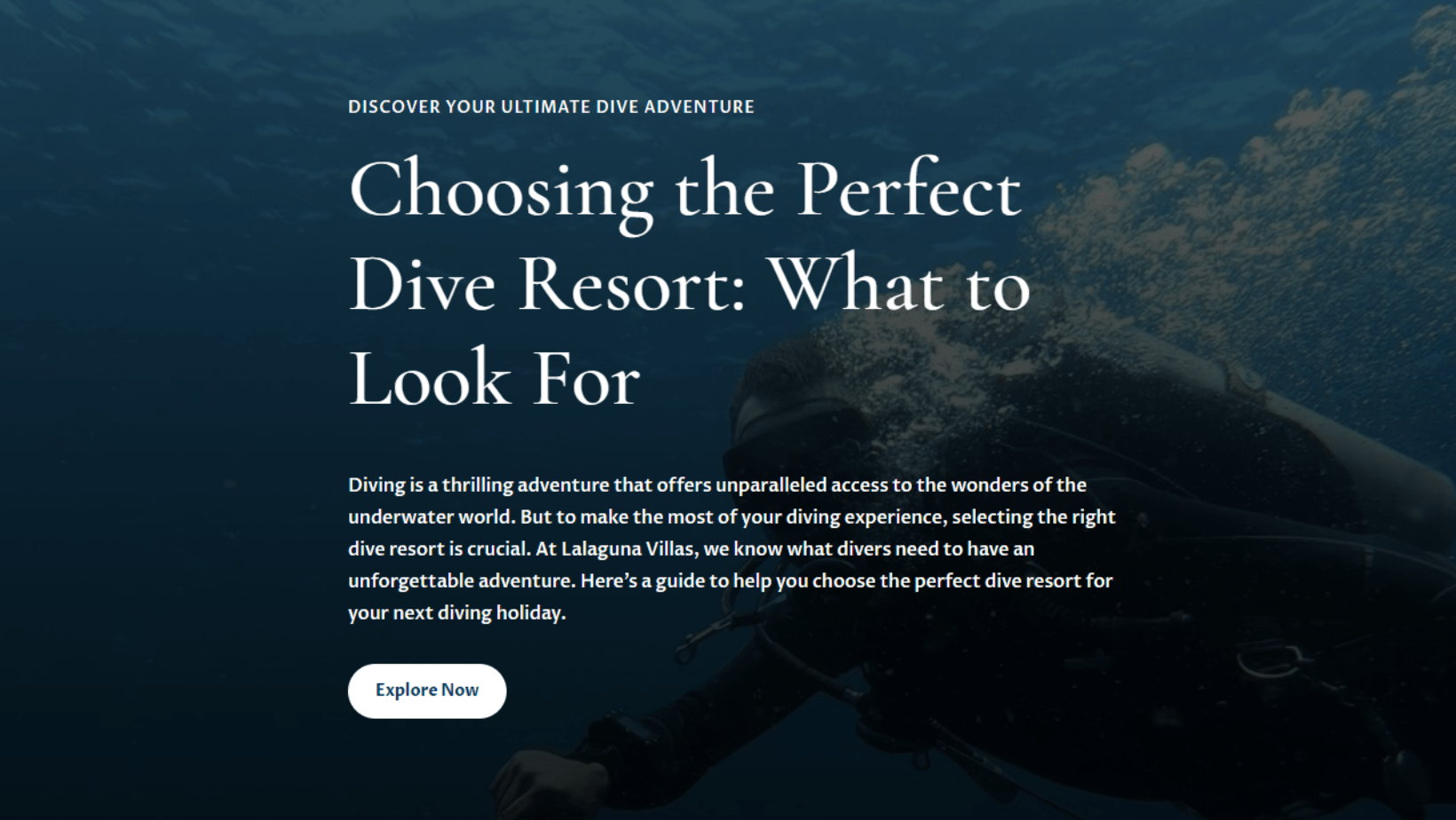 choosing-the-perfect-dive-resort-in-puerto-galera-what-to-look-for